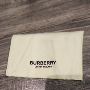 Burberry Light Lime Green Dust Bag 5 1/2" X 3 1/2"